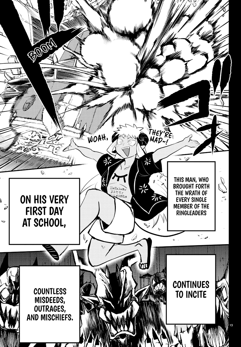 Page 13 of Chapter 201