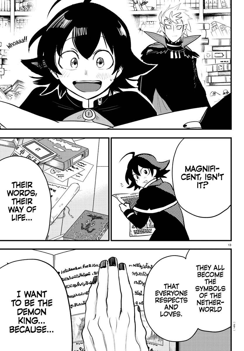Page 14 of Chapter 205