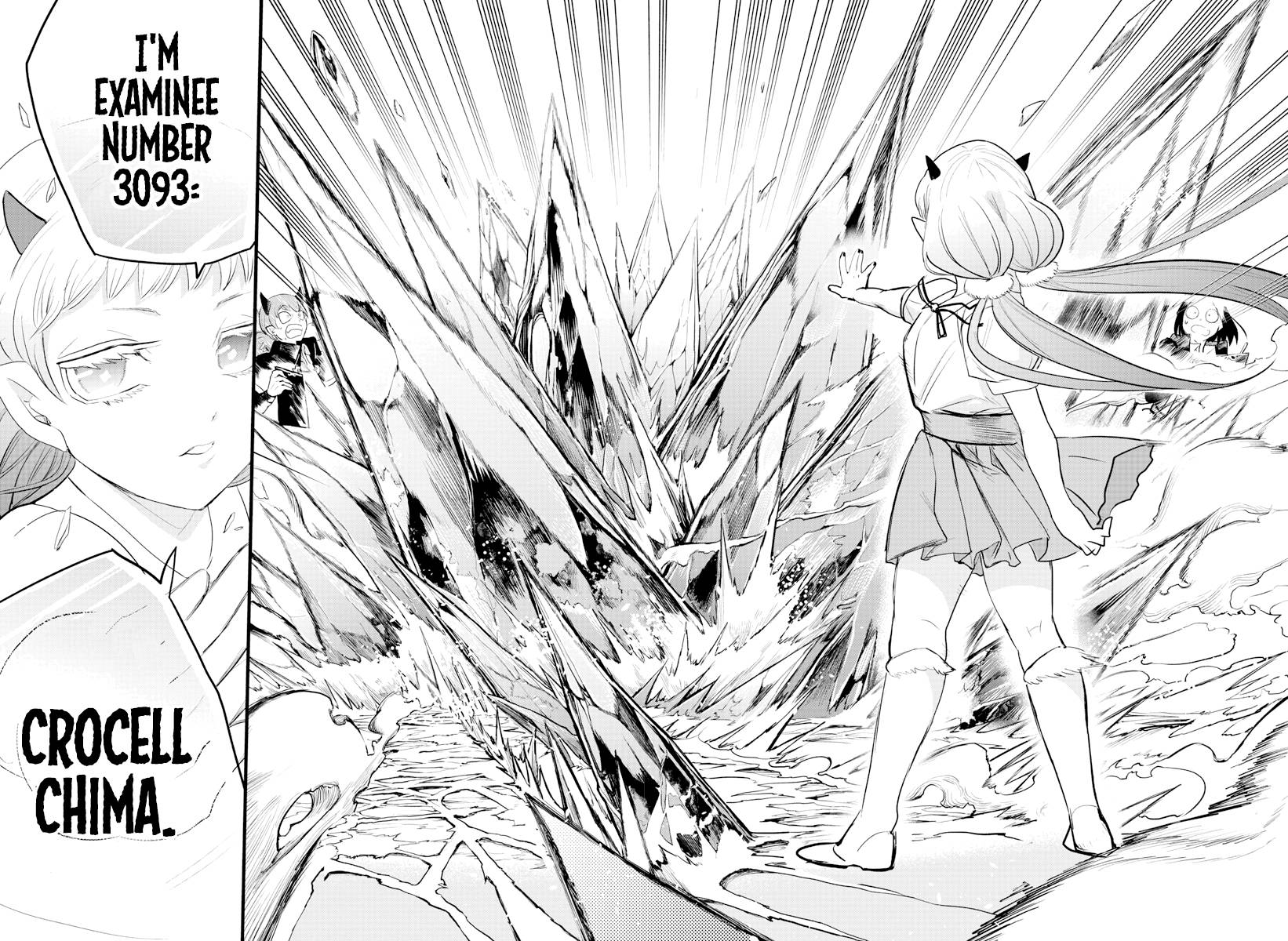 Page 13 of Chapter 216