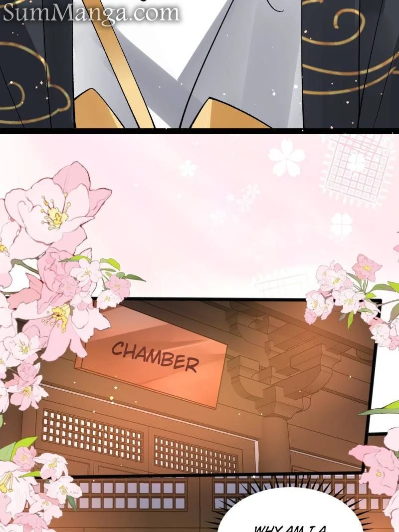 Page 41 of Chapter 67