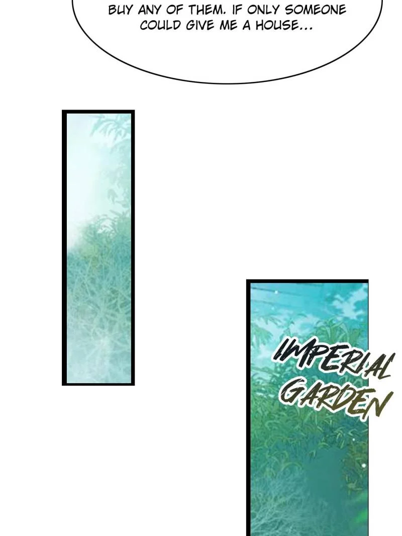 Page 27 of Chapter 68