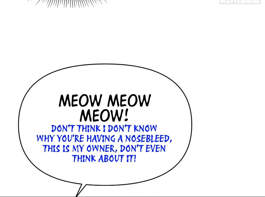 Page 17 of Chapter 13