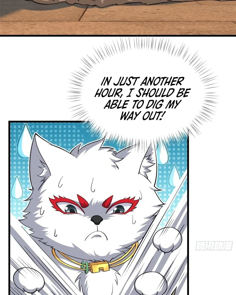 Page 6 of Chapter 15