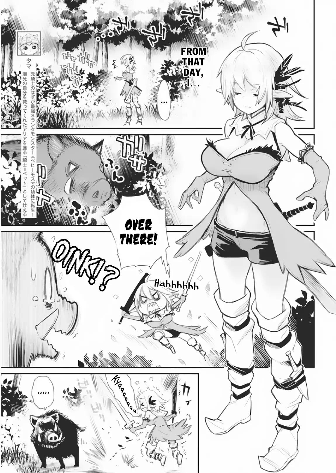Page 5 of Chapter 17