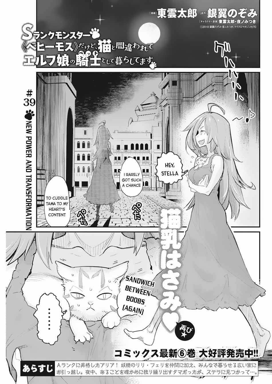 Page 2 of Chapter 39