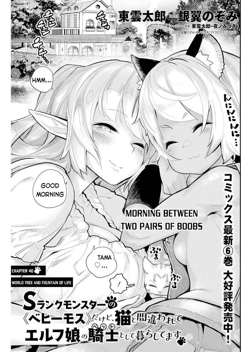 Page 2 of Chapter 40