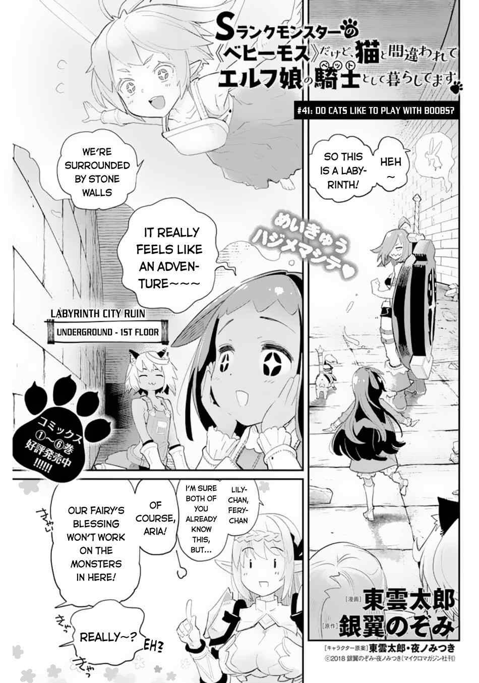 Page 2 of Chapter 41