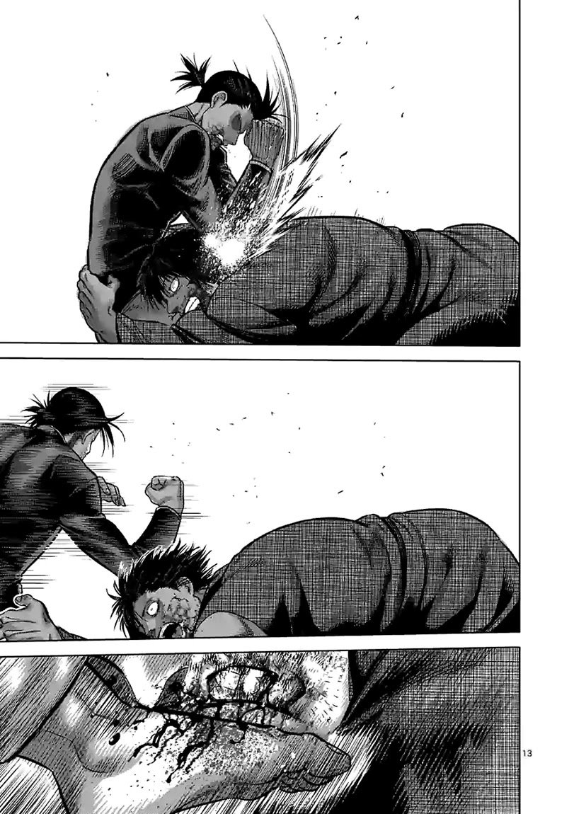 Page 13 of Chapter 113