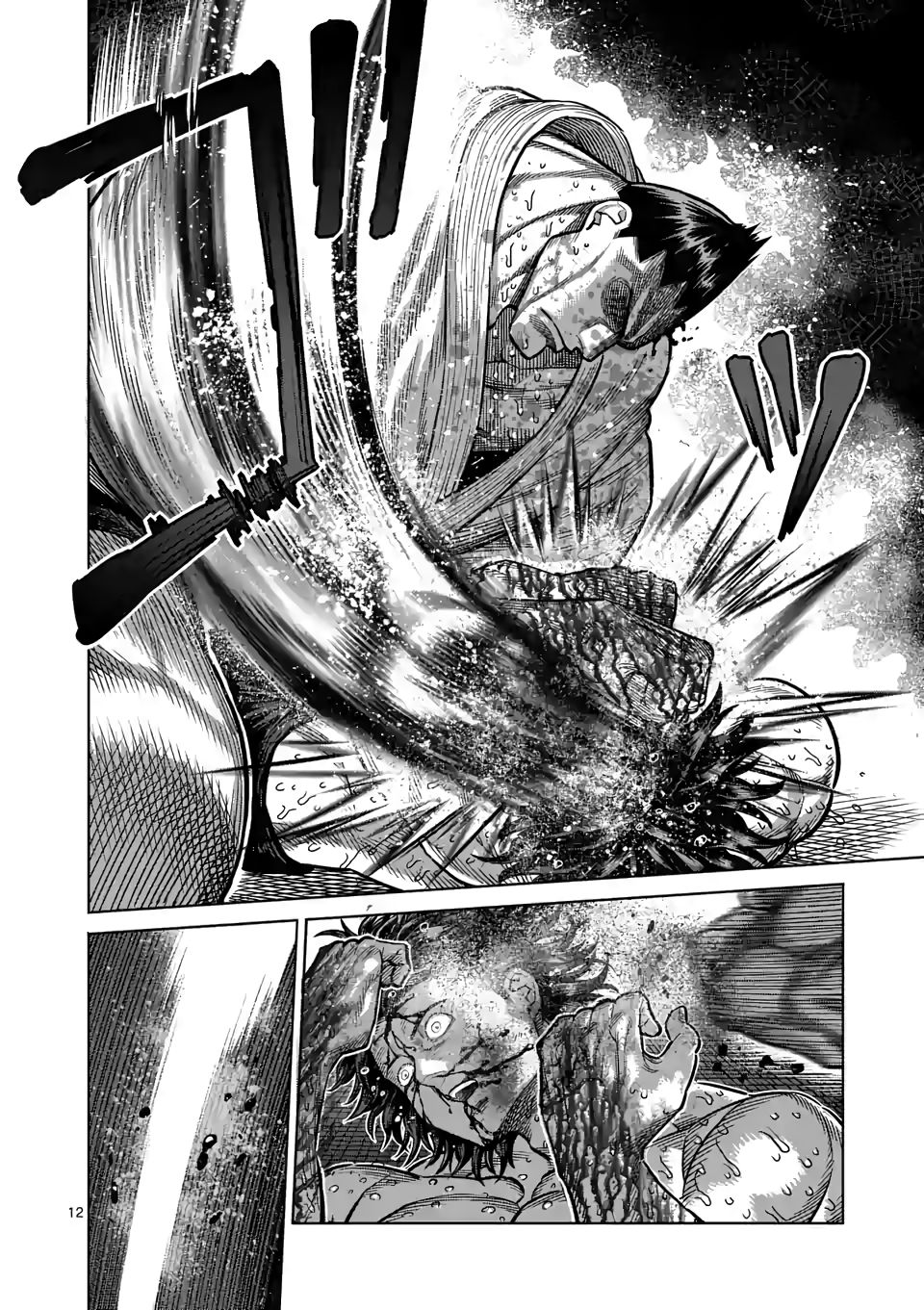 Page 12 of Chapter 39