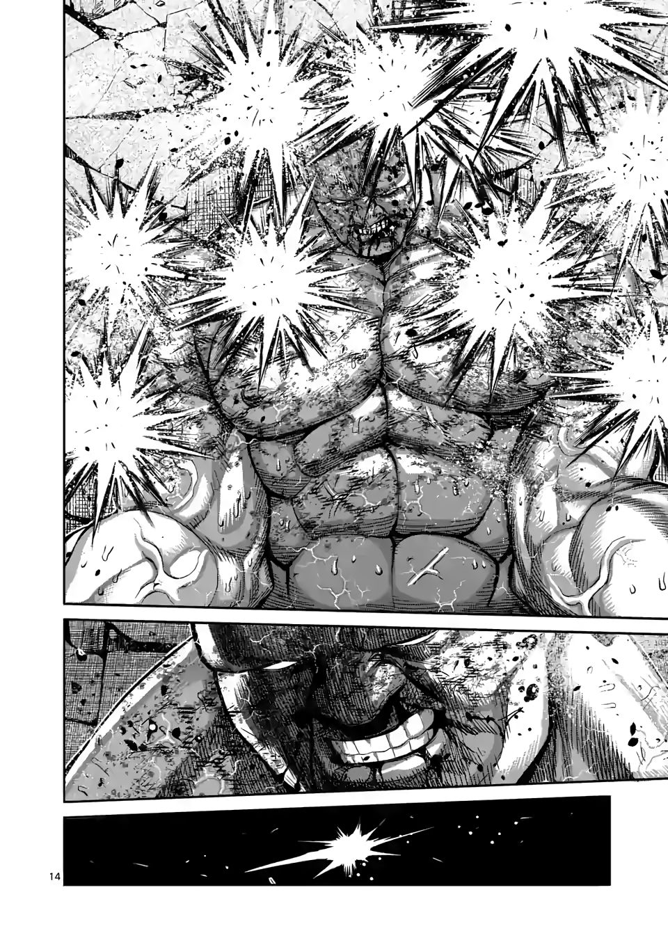 Page 14 of Chapter 74