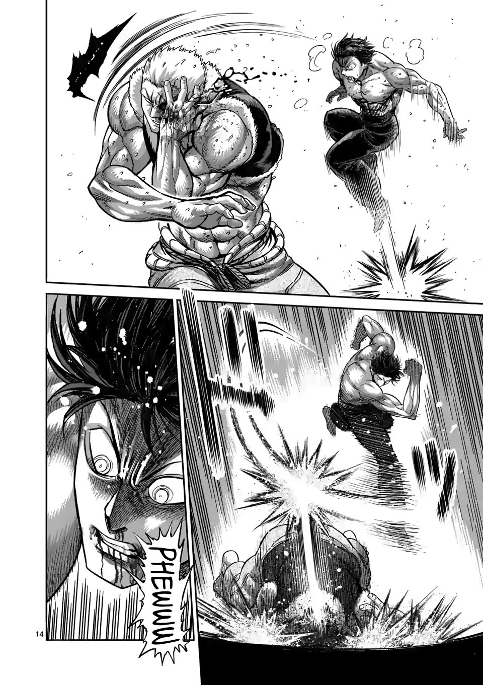 Page 14 of Chapter 85