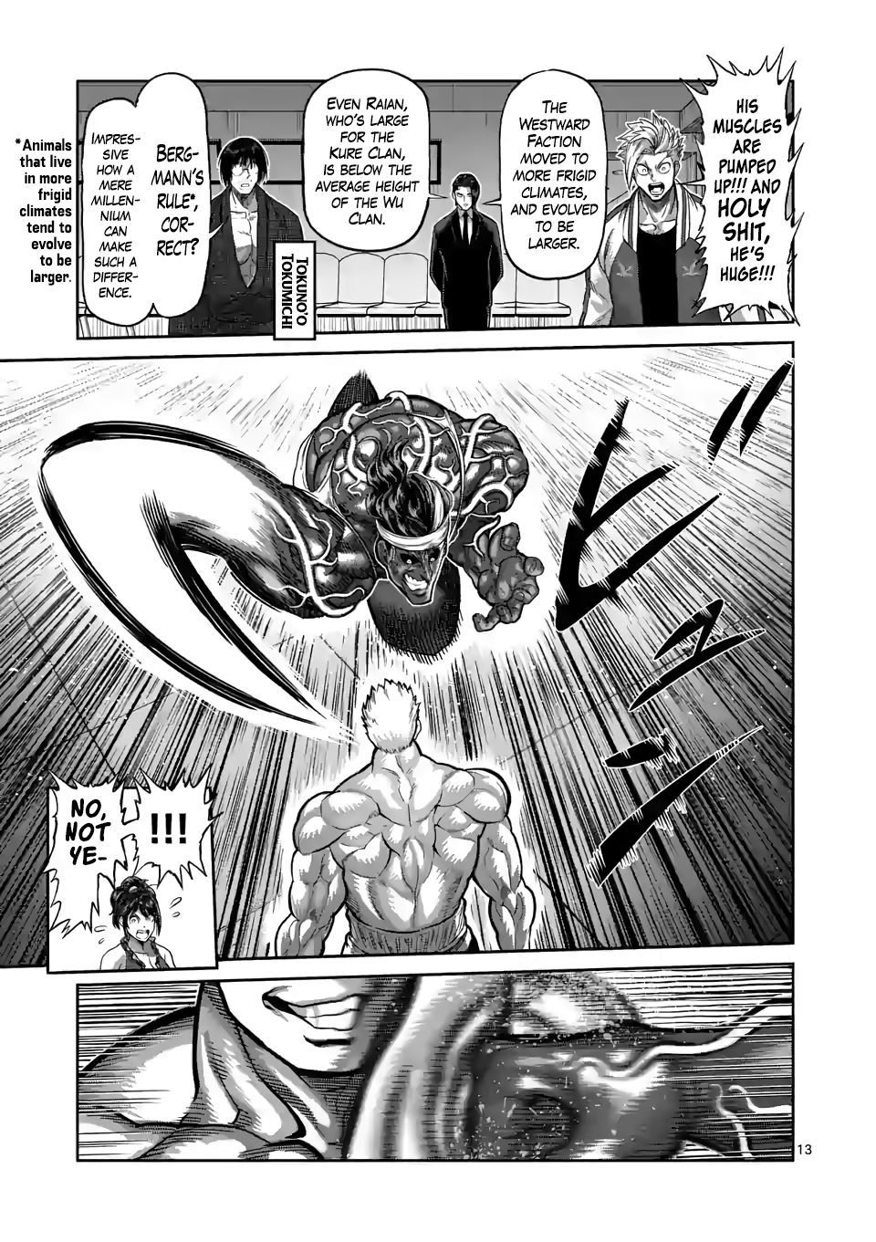 Page 13 of Chapter 95