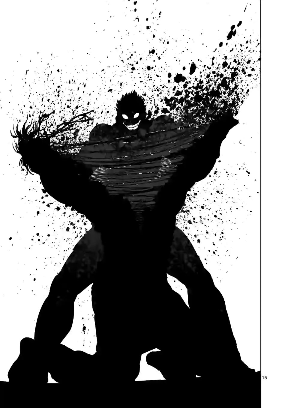 Page 15 of Chapter 96