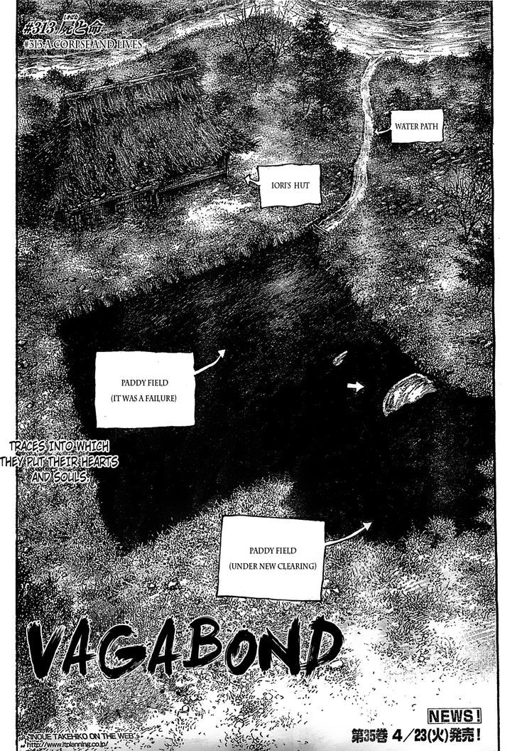 Page 3 of Chapter 313