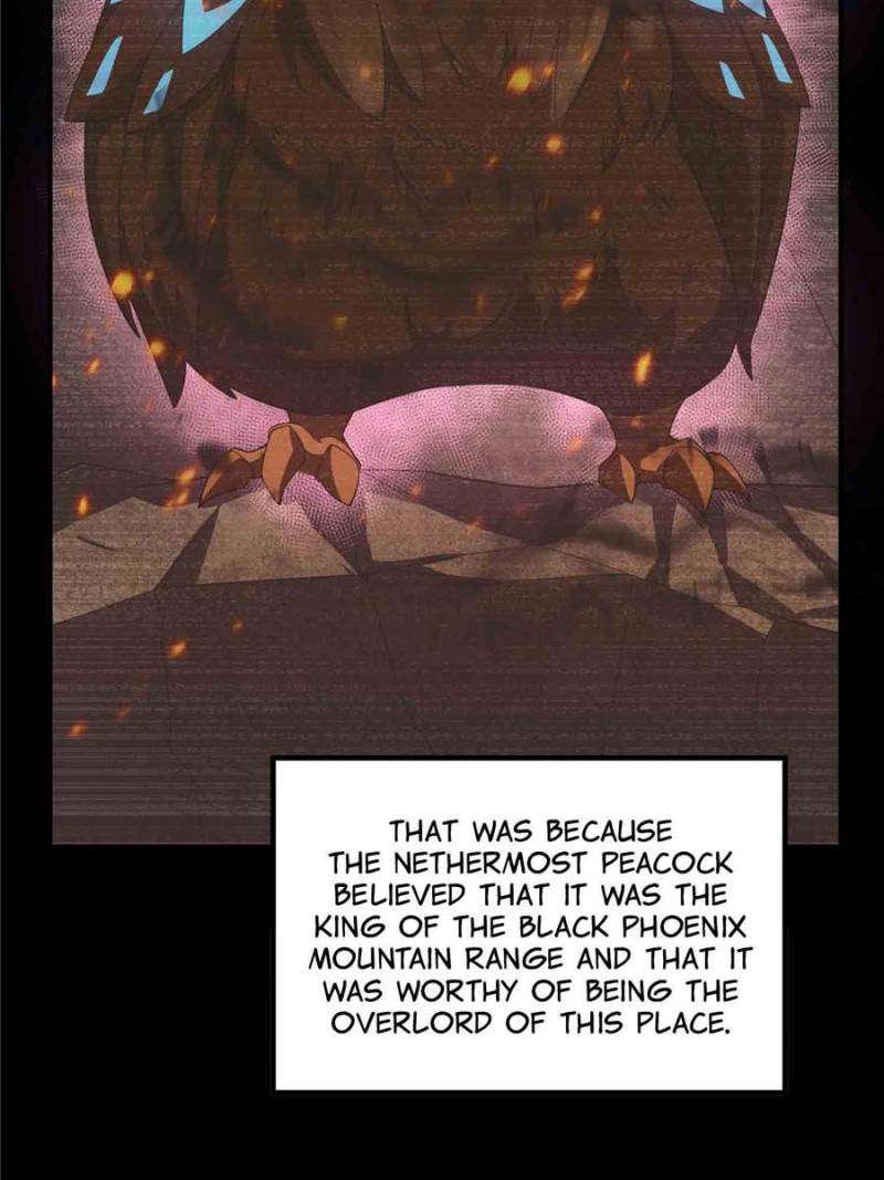 Page 11 of Chapter 219