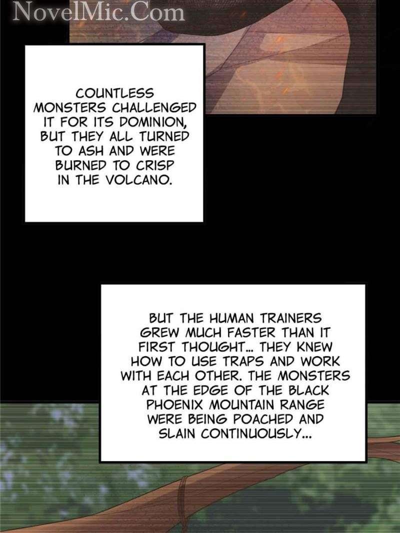 Page 13 of Chapter 219