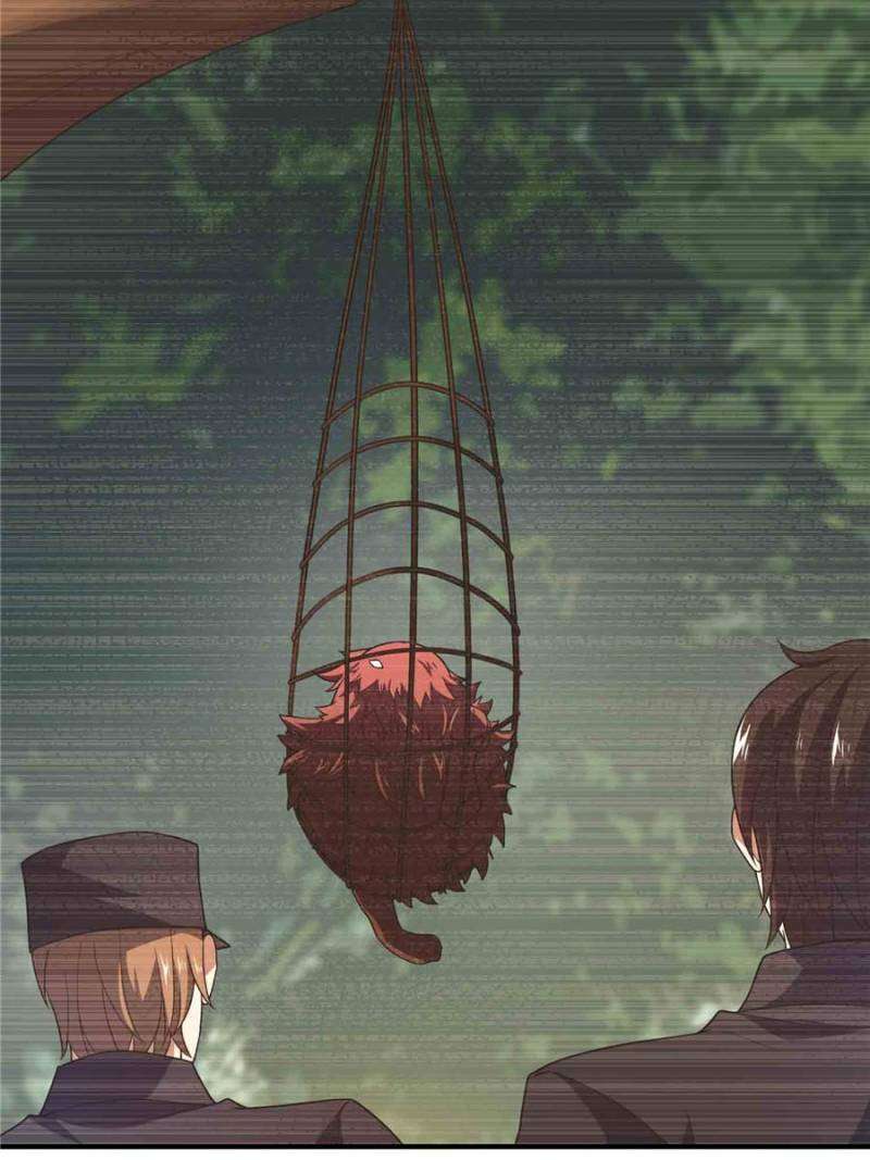 Page 14 of Chapter 219