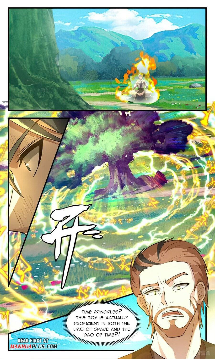 Page 11 of Chapter 3096