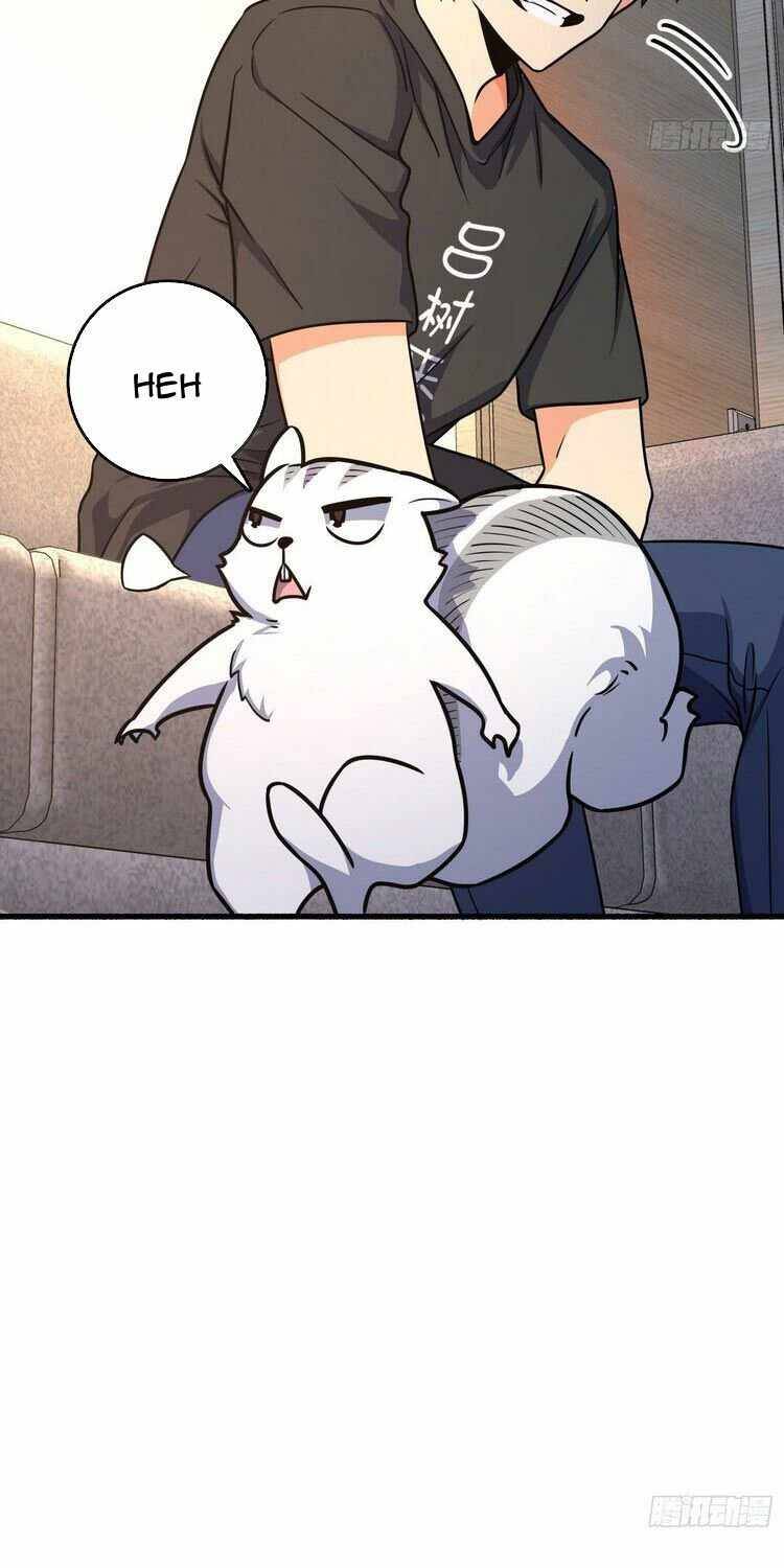 Page 9 of Chapter 255