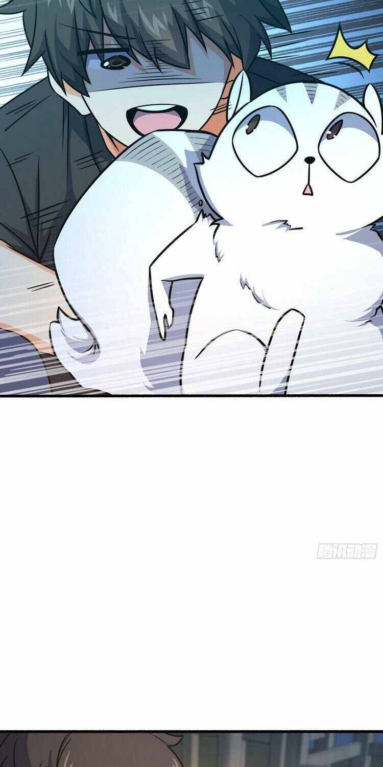 Page 11 of Chapter 255