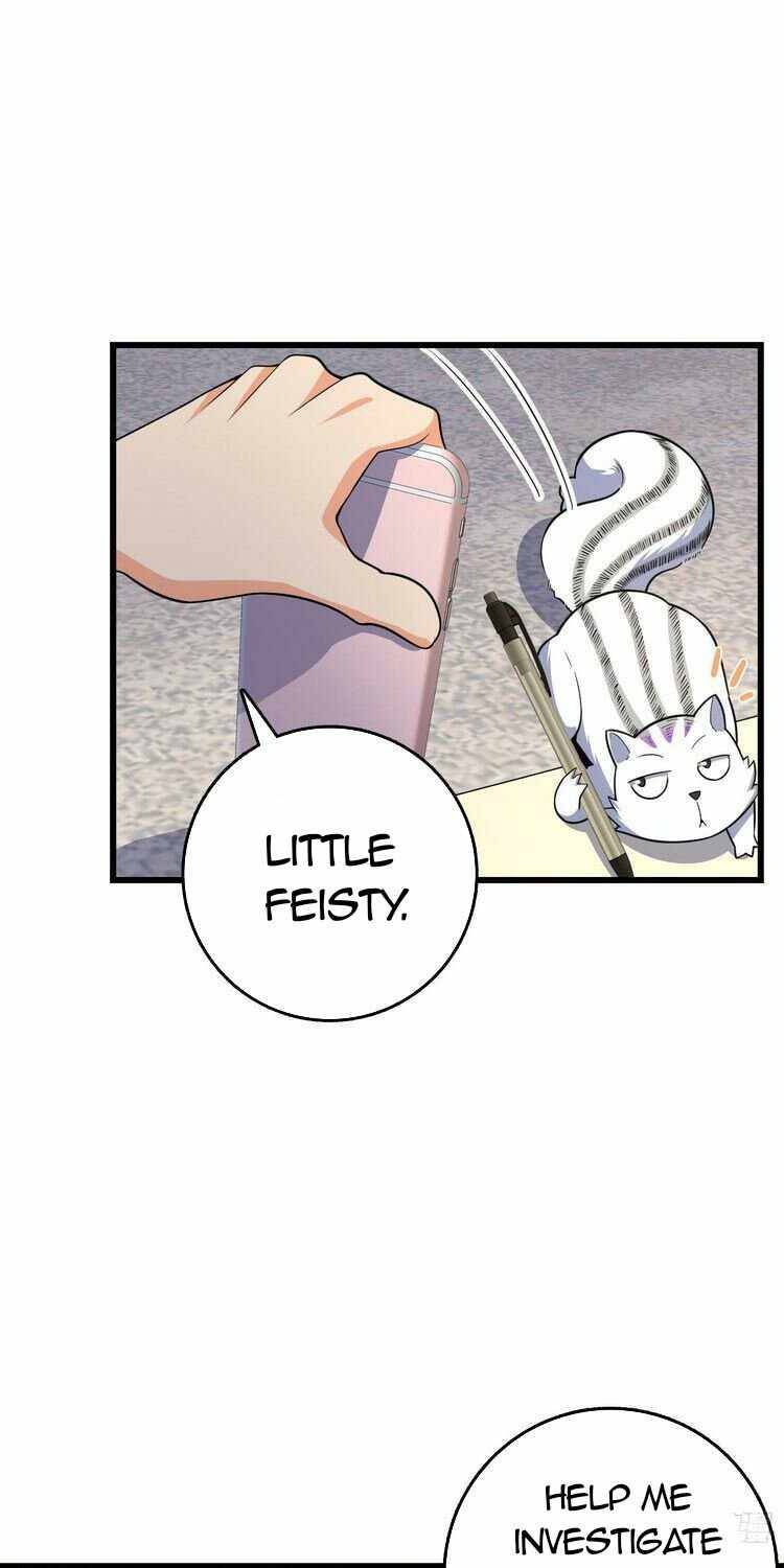 Page 41 of Chapter 257