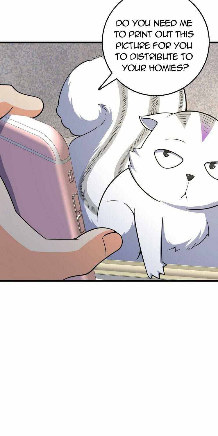 Page 43 of Chapter 257