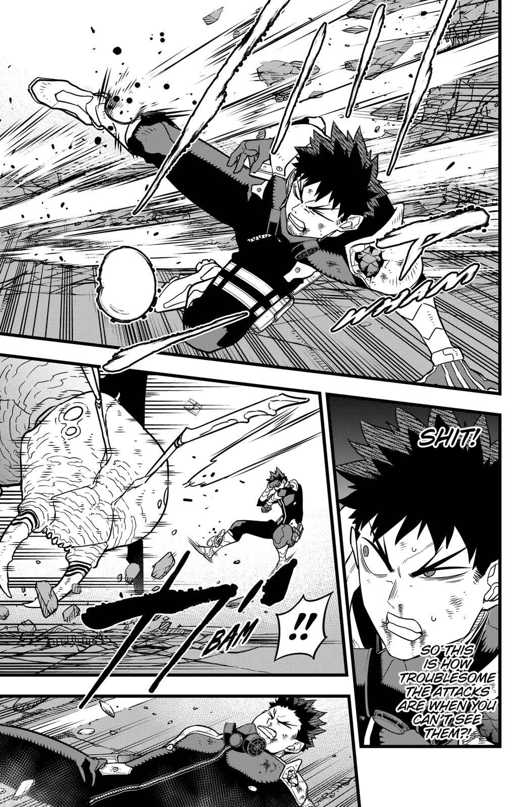 Page 13 of Chapter 43