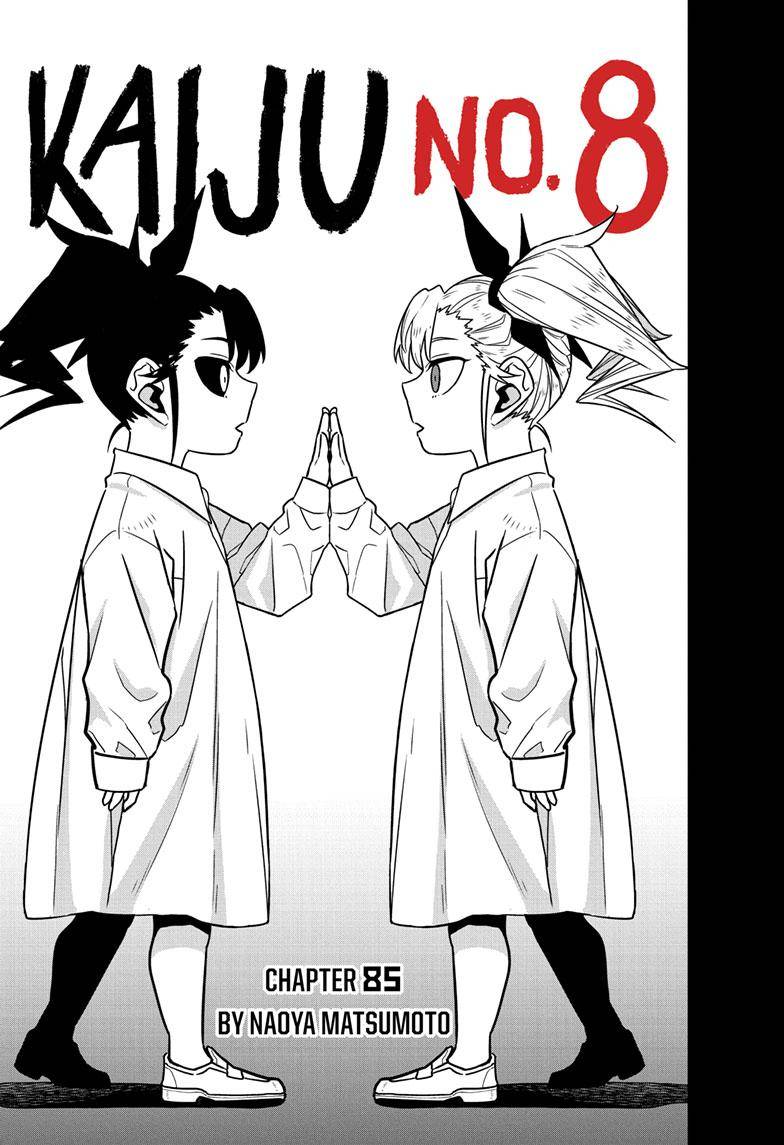 Page 4 of Chapter 85