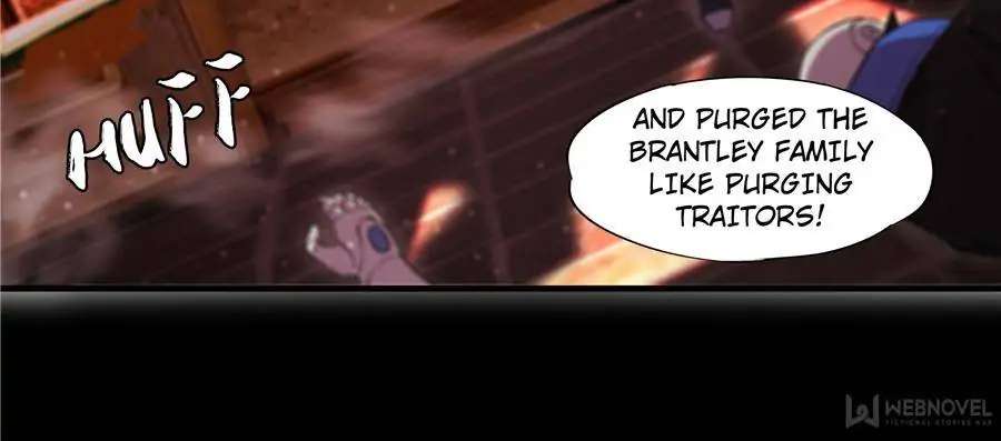 Page 3 of Chapter 243