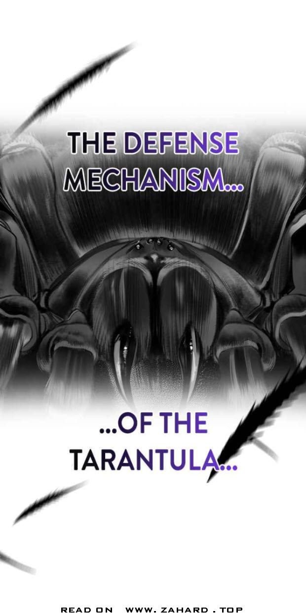 Page 14 of Chapter 23