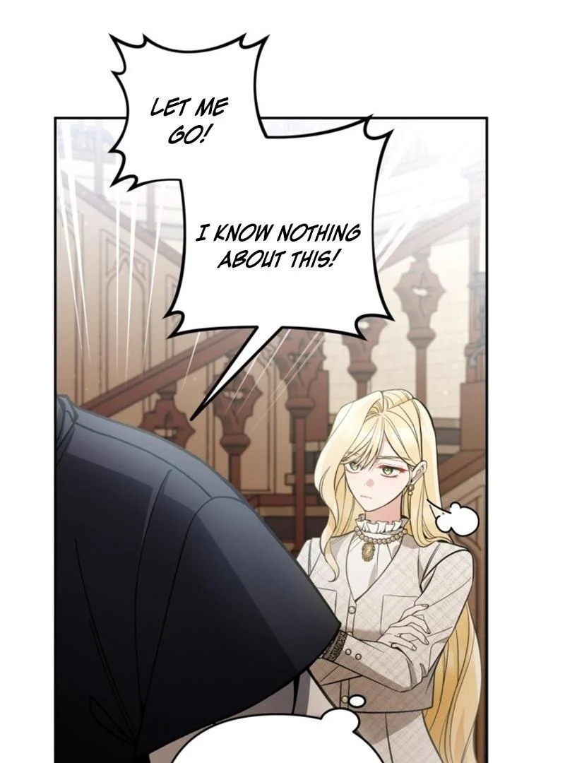 Page 107 of Chapter 85