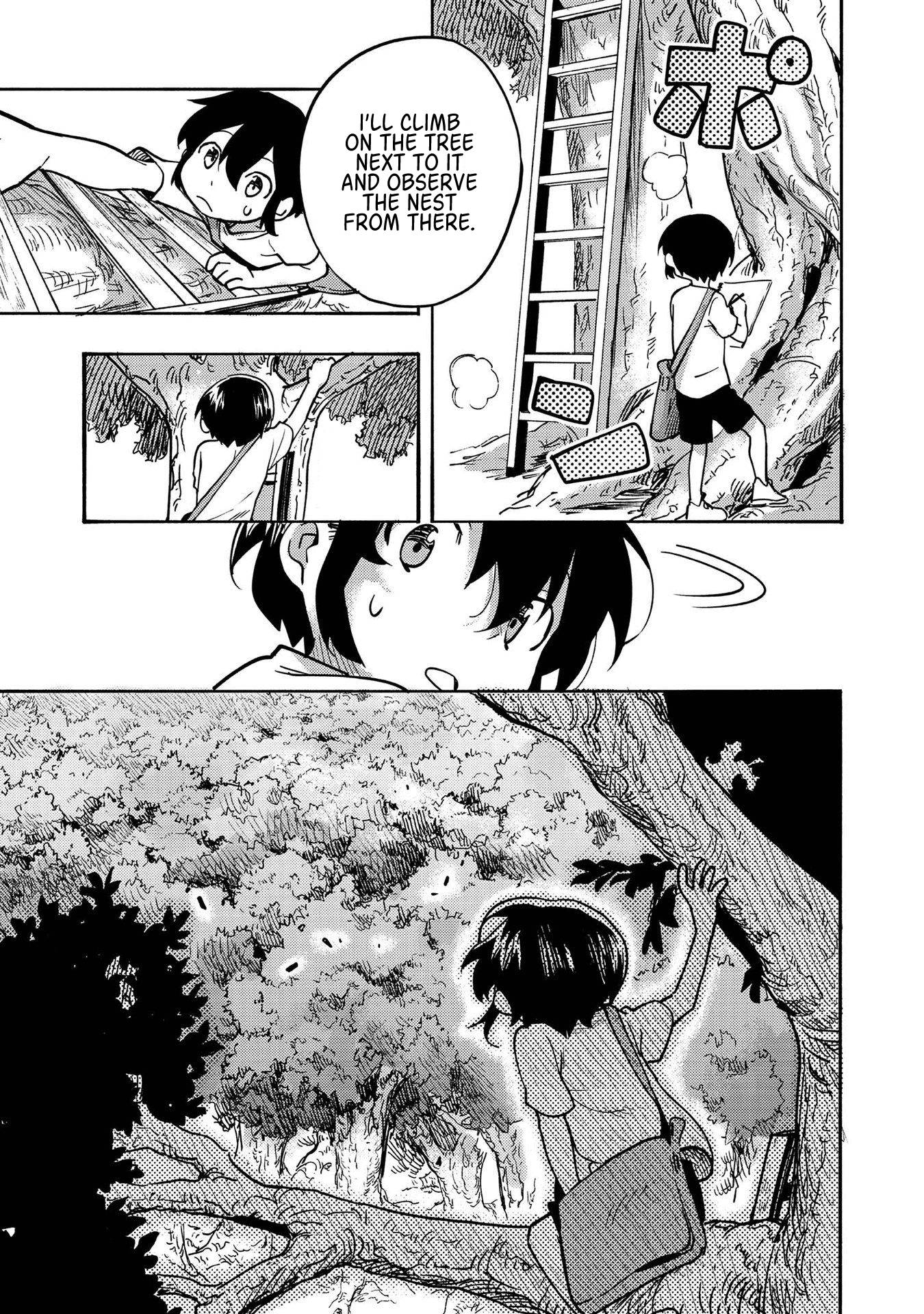 Page 14 of Chapter 3