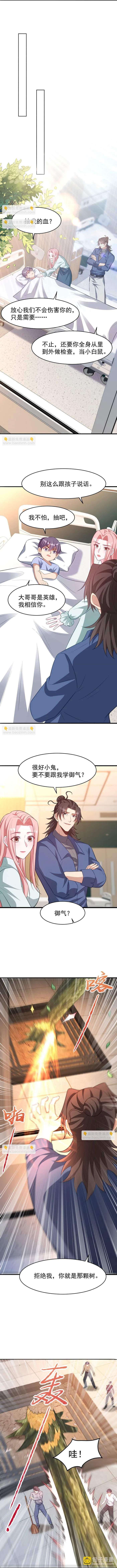Page 5 of Chapter 295