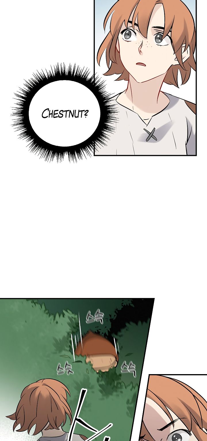 Page 27 of Chapter 11