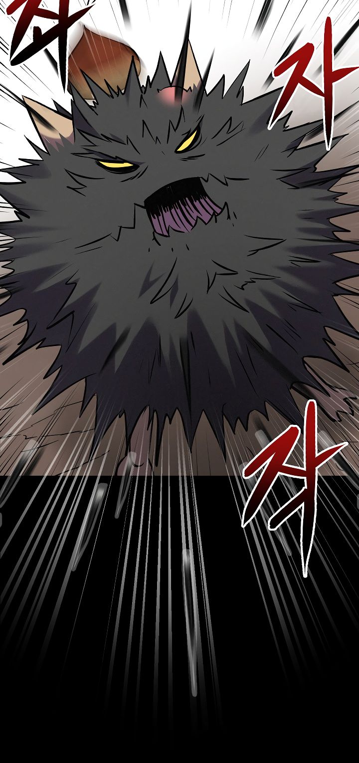 Page 39 of Chapter 11