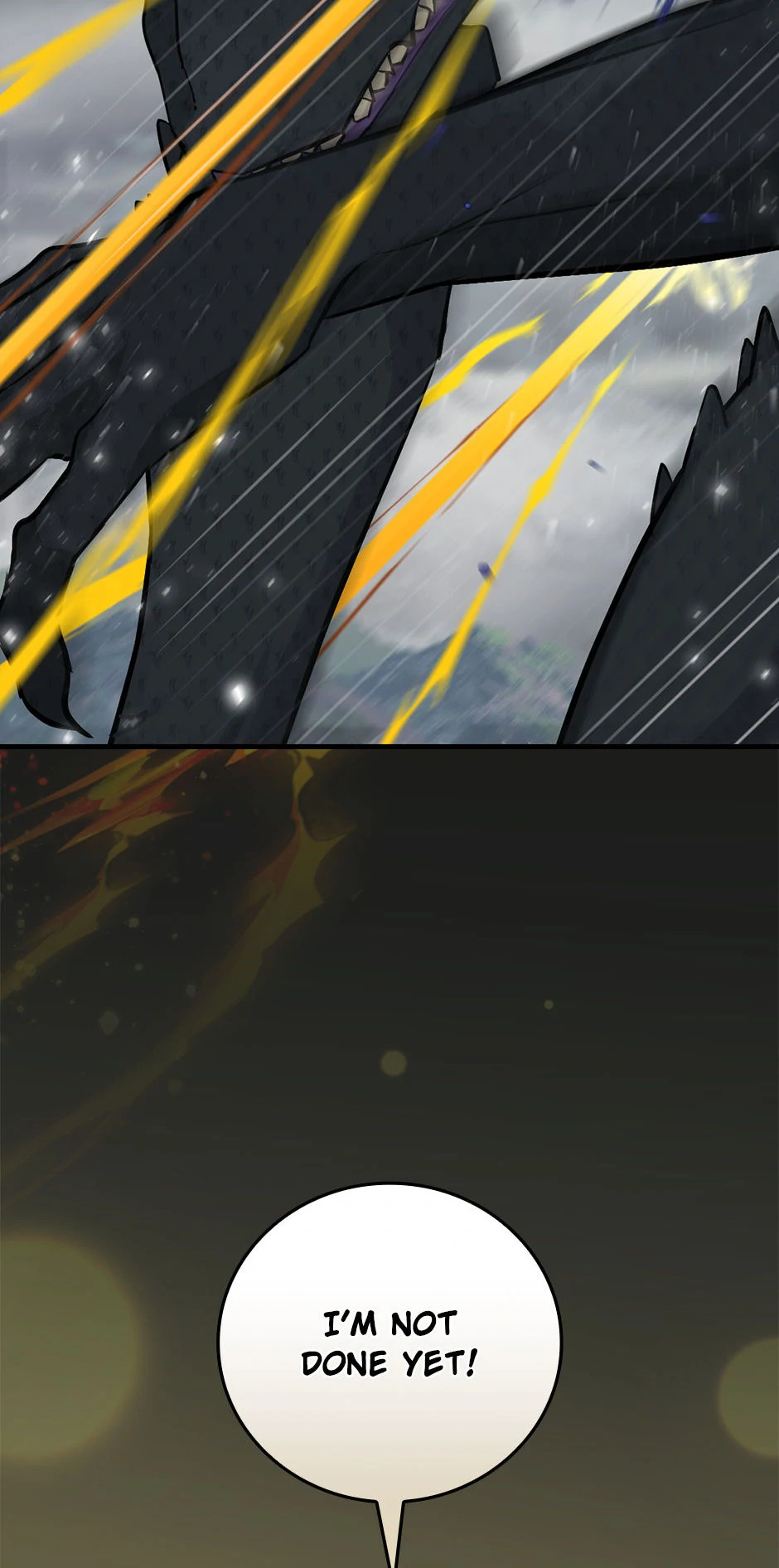 Page 4 of Chapter 193