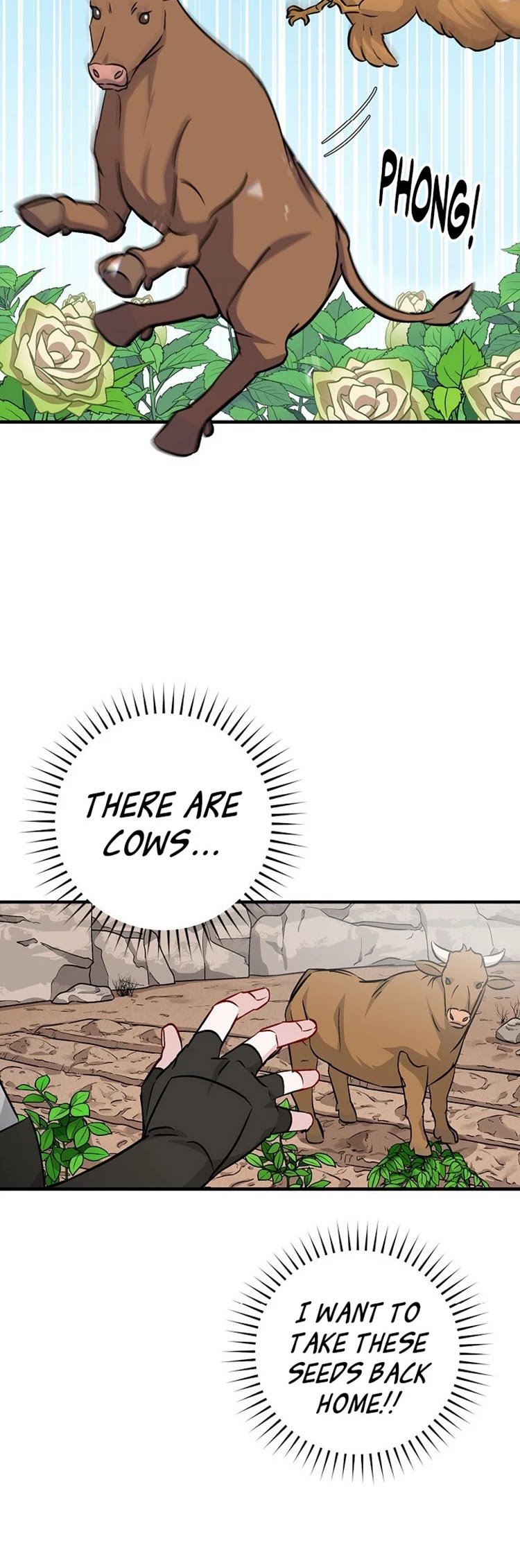 Page 27 of Chapter 52