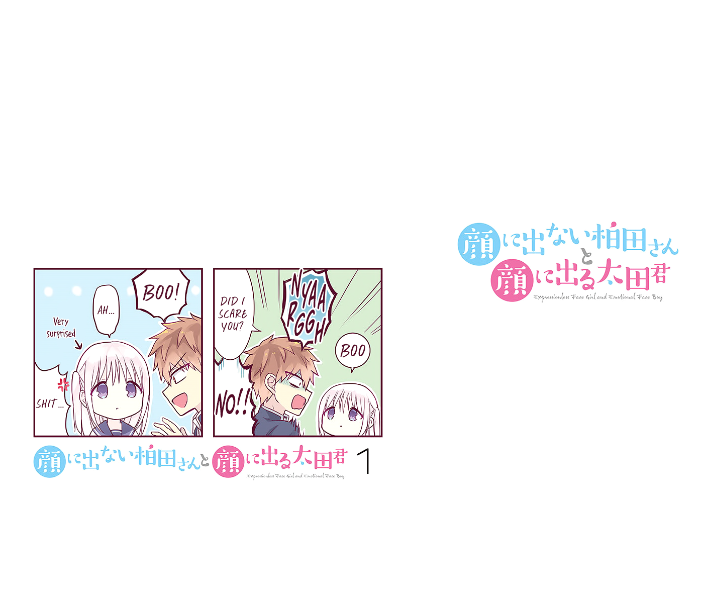 Page 11 of Chapter 13.5