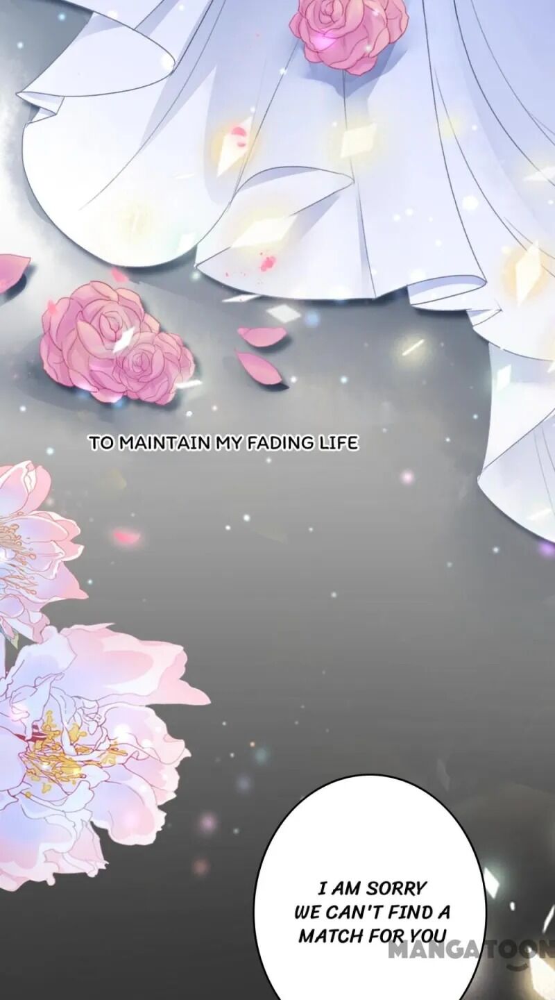 Page 4 of Chapter 1