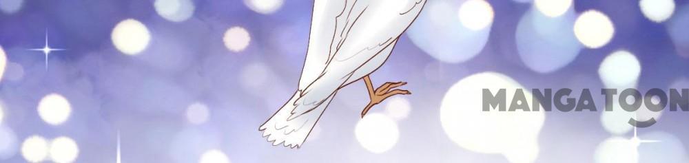 Page 13 of Chapter 96