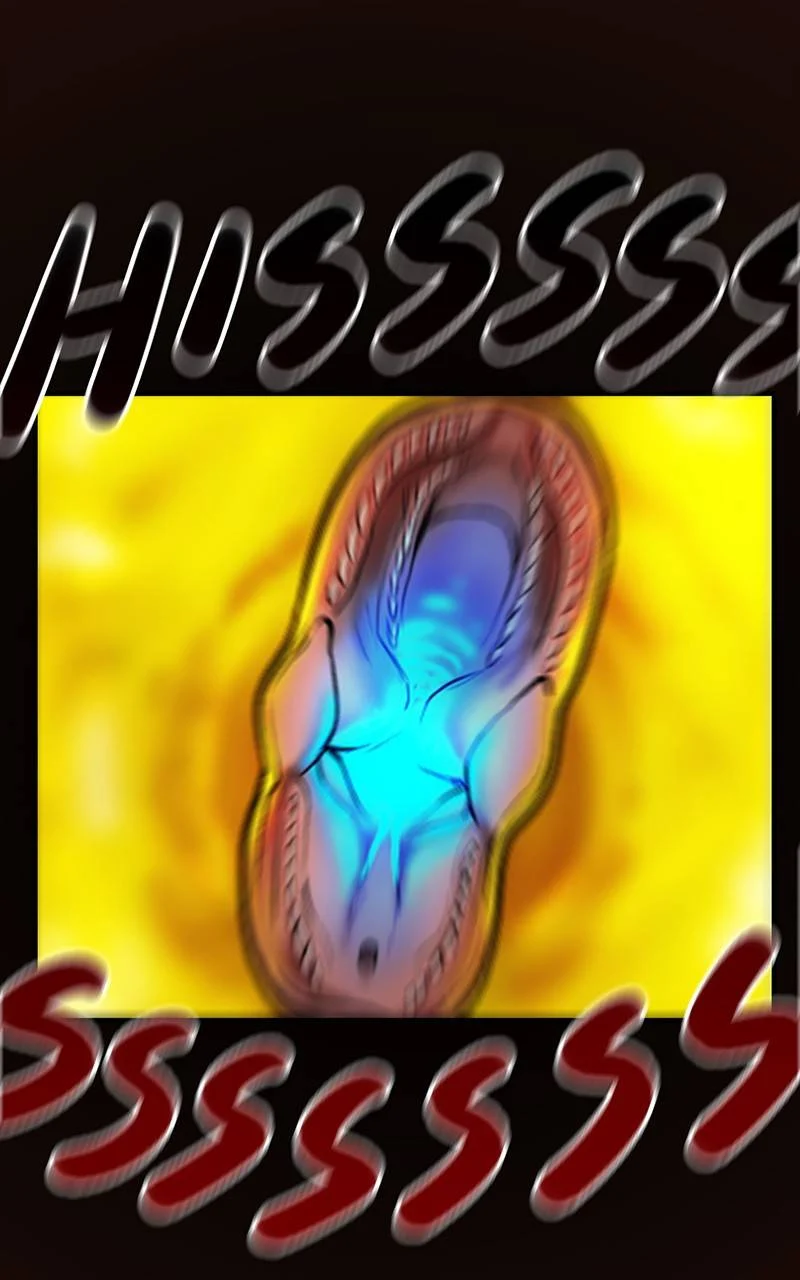 Page 47 of Chapter 13