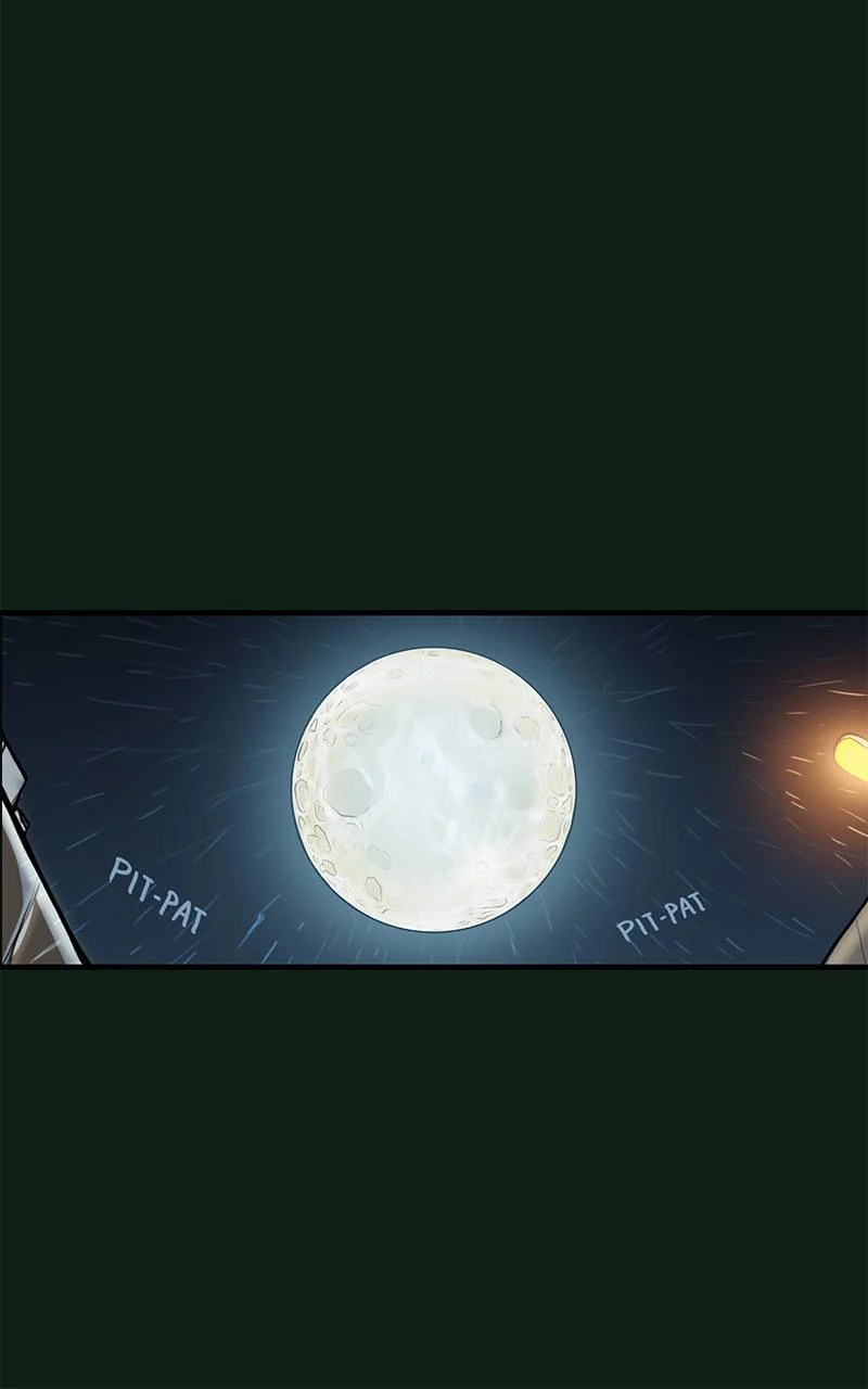 Page 20 of Chapter 2