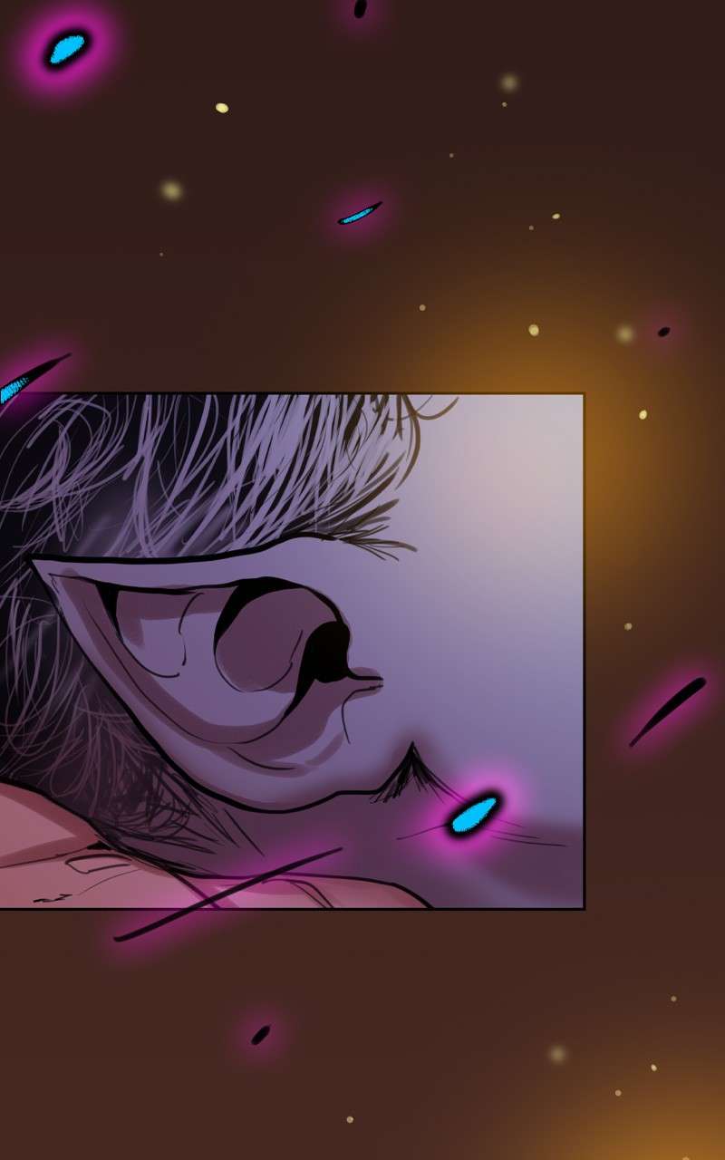 Page 6 of Chapter 71