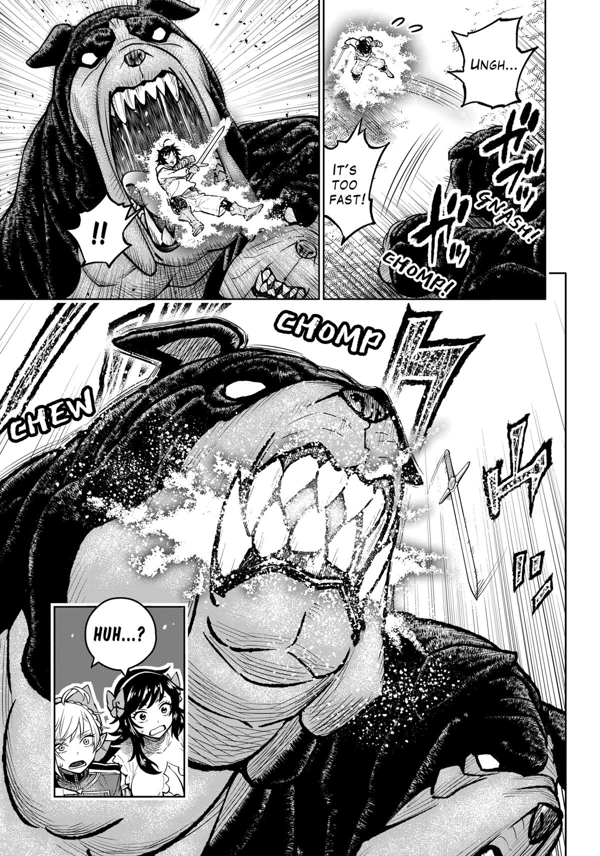 Page 13 of Chapter 17