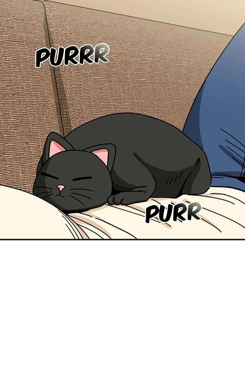 Page 3 of Chapter 33