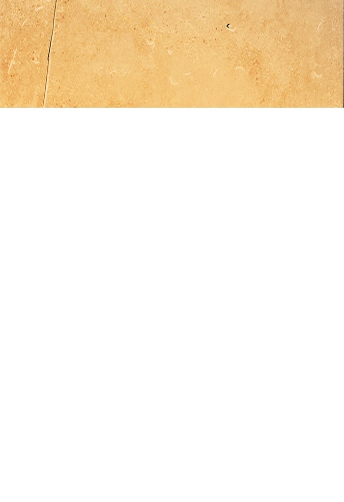 Page 43 of Chapter 191