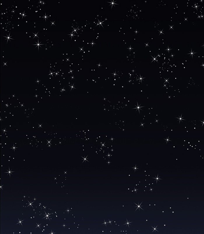 Page 51 of Chapter 231