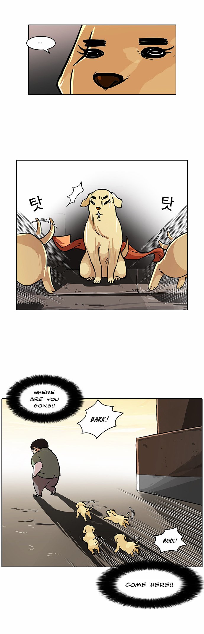 Page 22 of Chapter 62