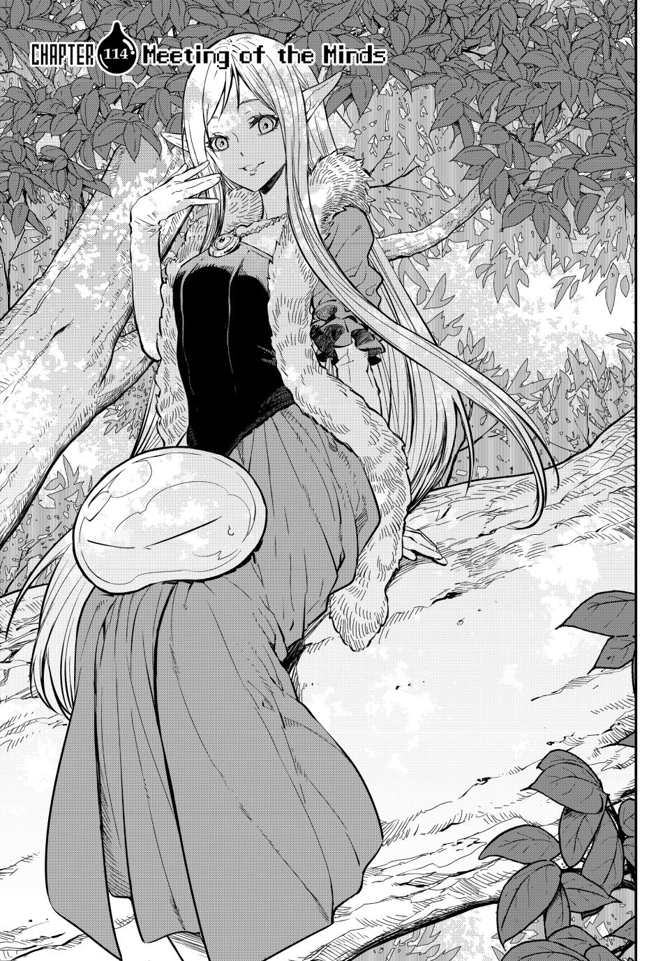 Page 13 of Chapter 114