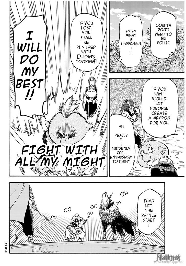 Page 13 of Chapter 17